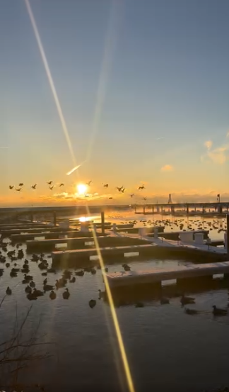 Post by Downtown Port